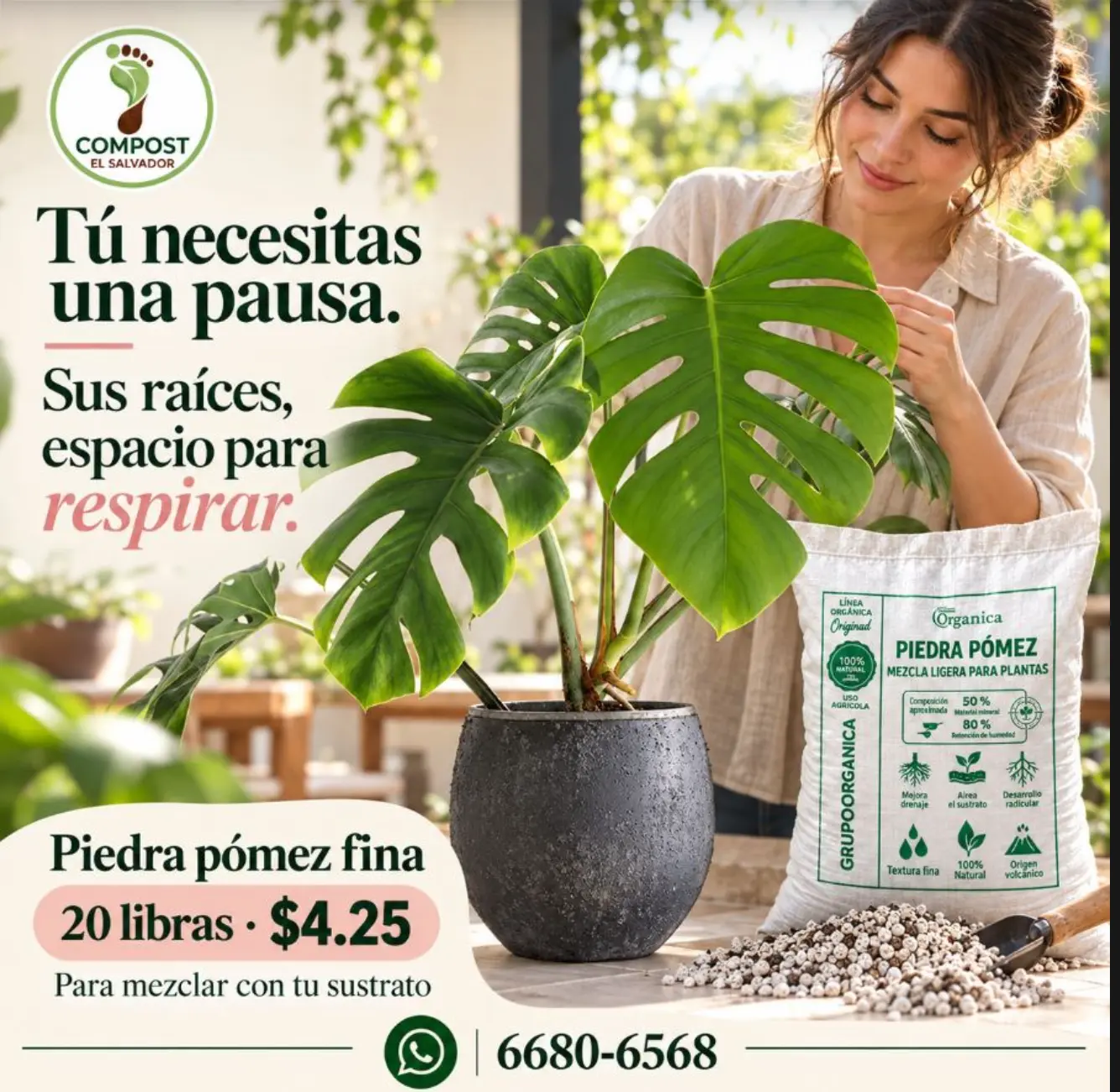 Piedra Pómez Fina