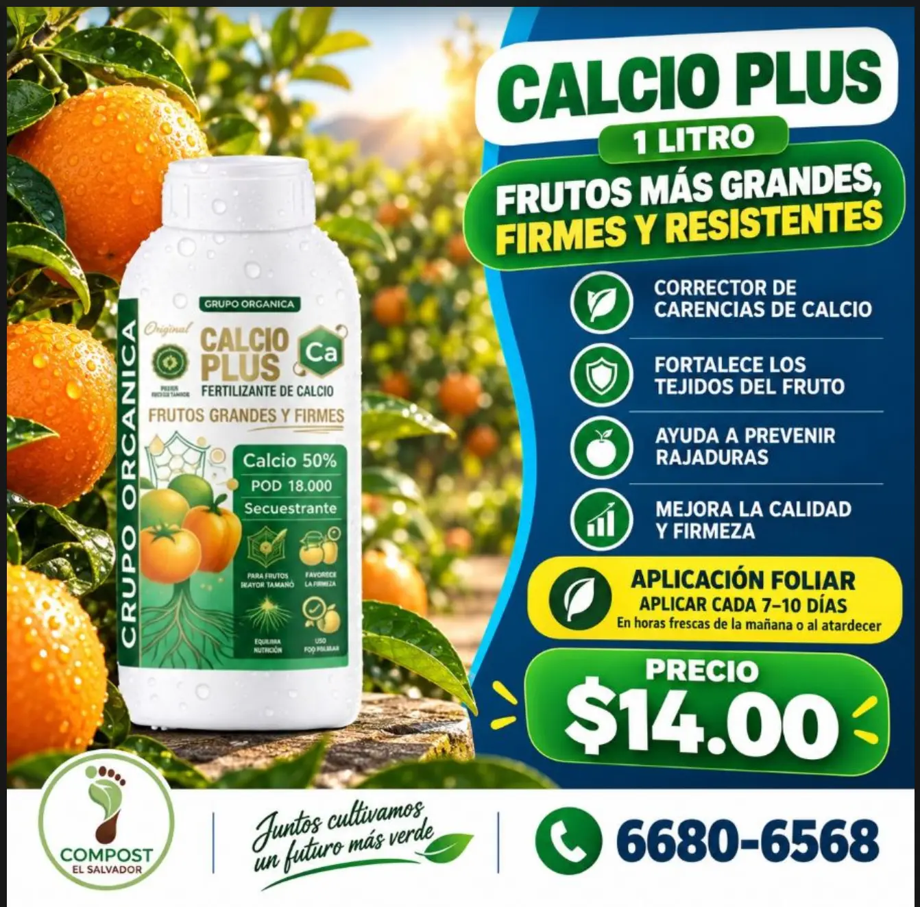 Calcio Plus