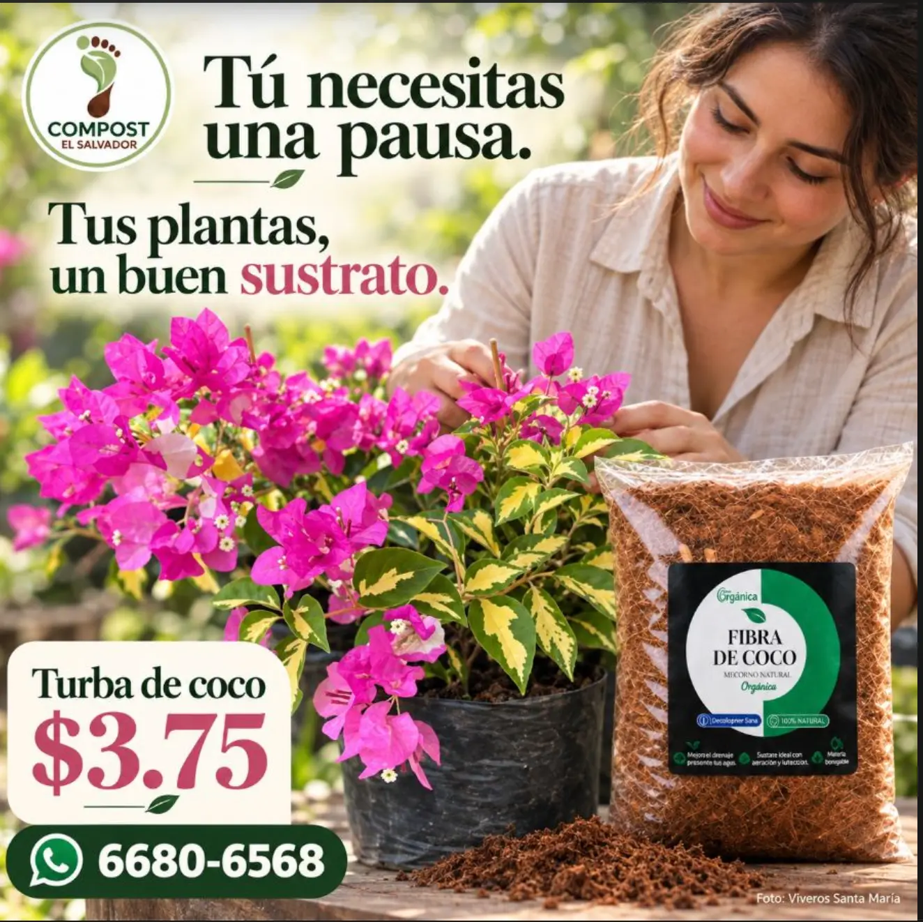 Turba de Coco / Fibra de Coco