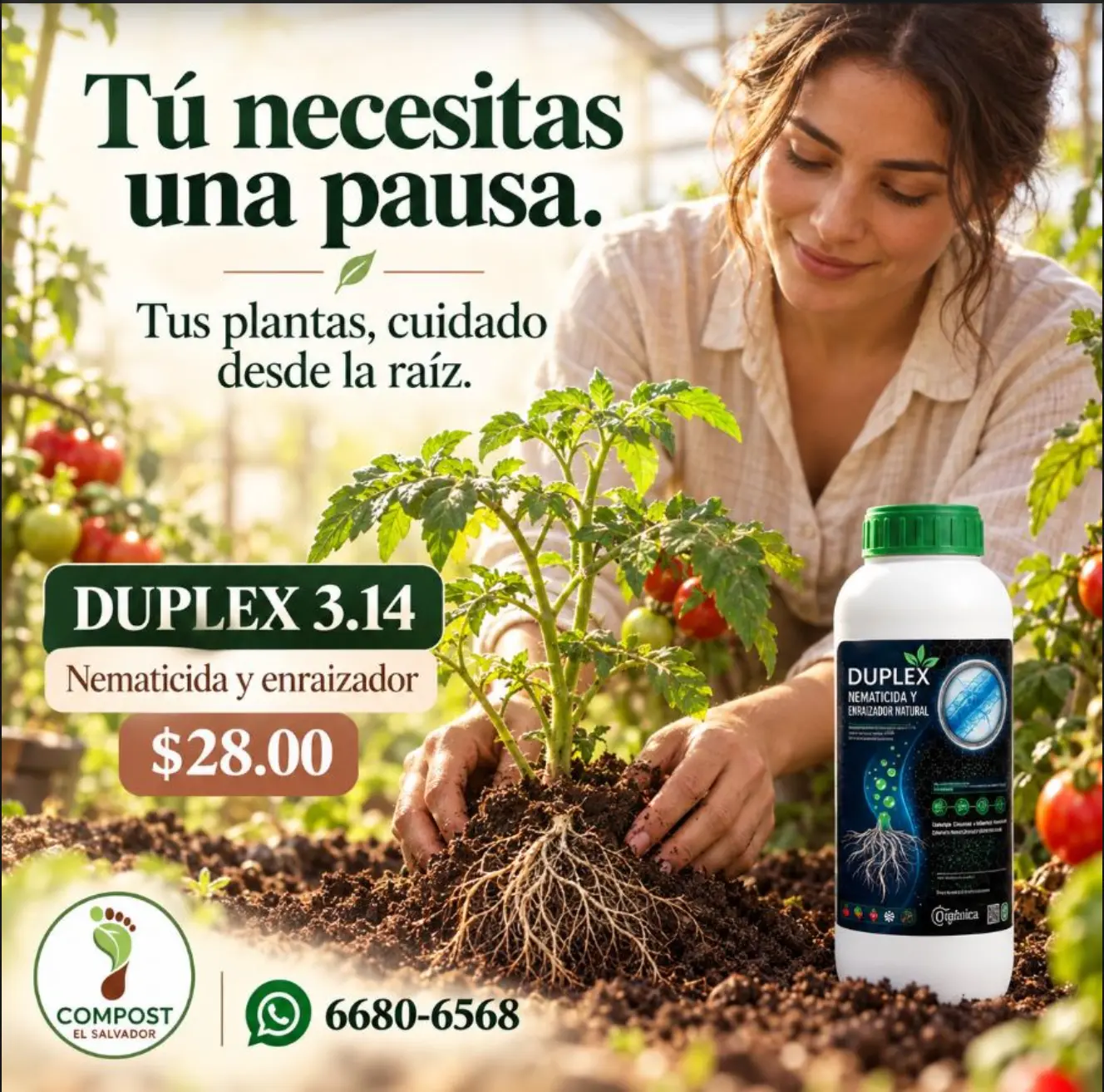 Duplex 3.14