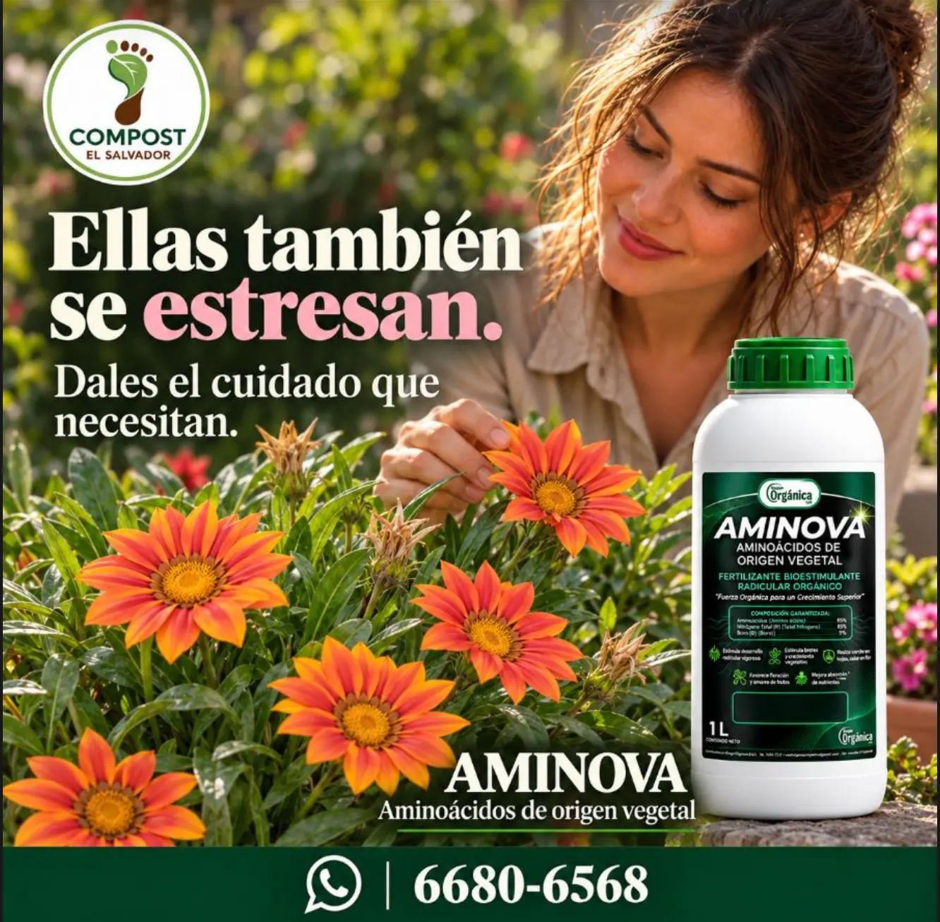 Aminova