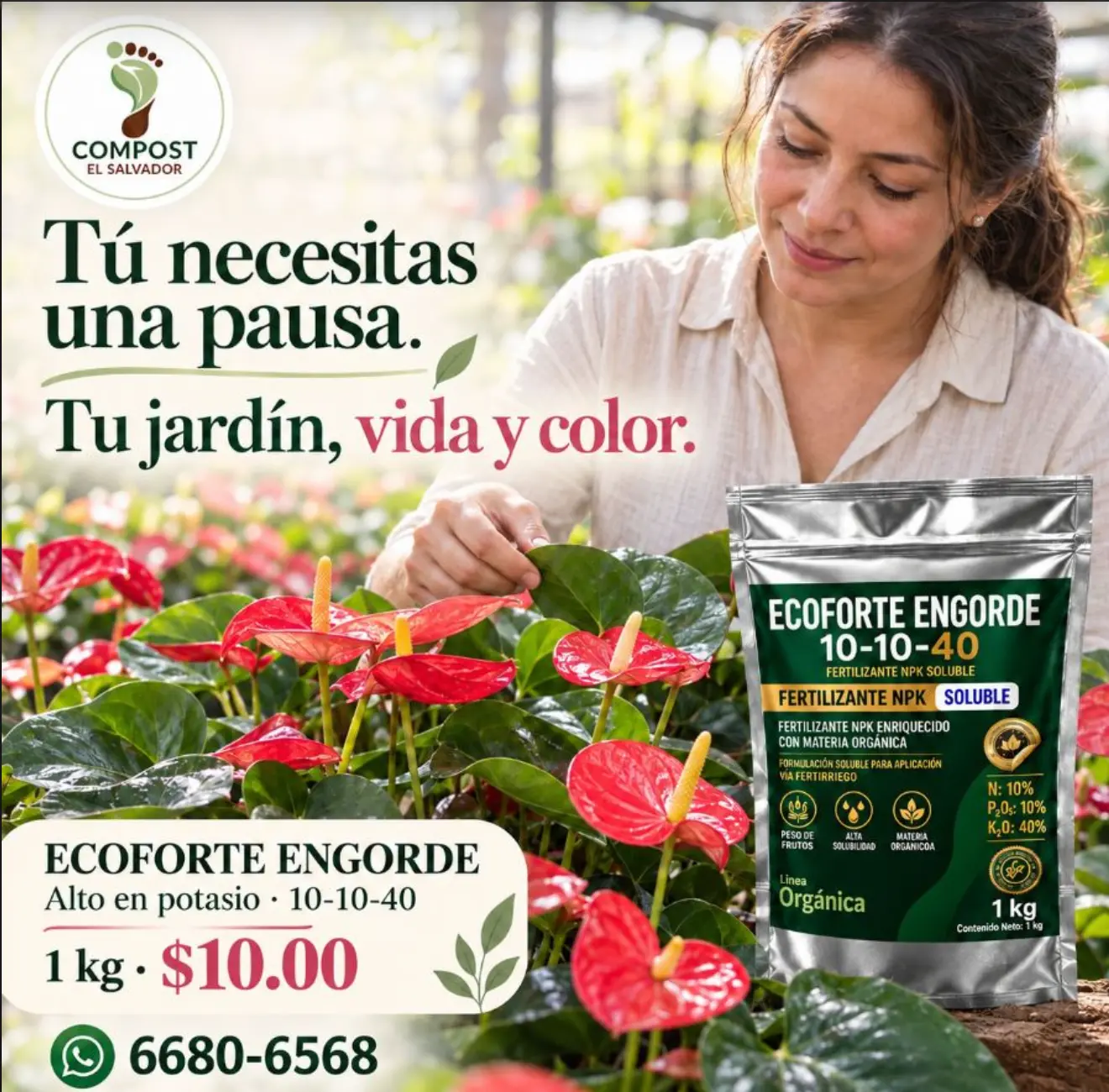 Ecoforte Engorde 10-10-40
