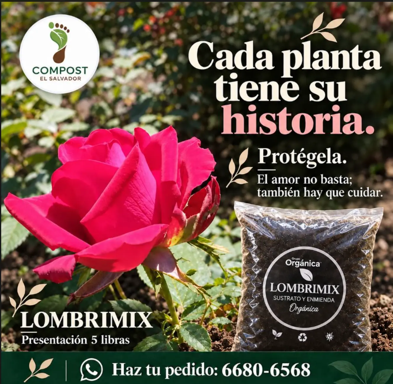 Lombrimix