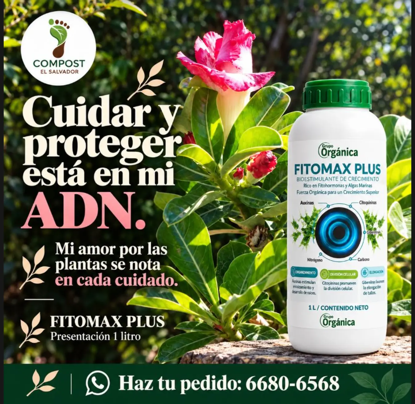 Fitomax Plus