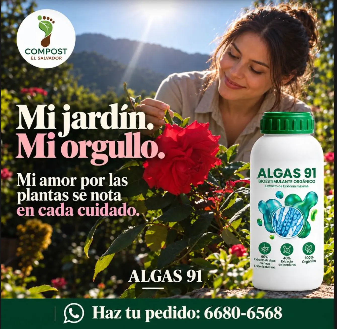 Algas 91
