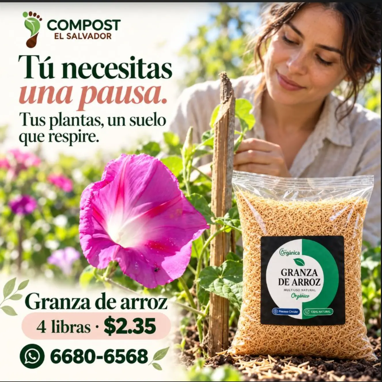 Granza de Arroz