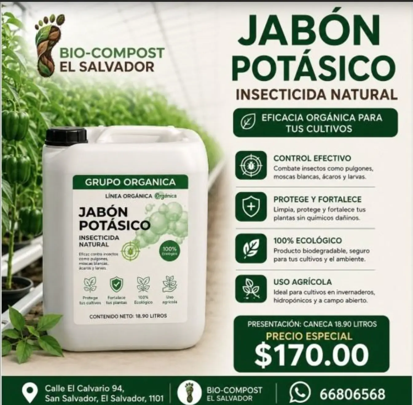 Jabón Potásico — Caneca